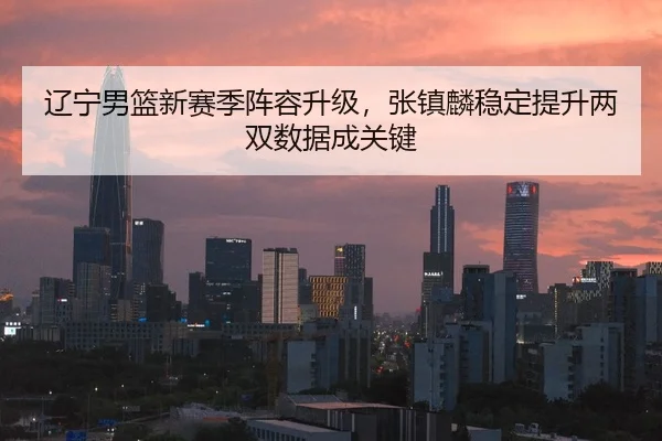 辽宁男篮新赛季阵容升级，张镇麟稳定提升两双数据成关键