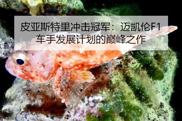 pi-ya-si-te-li-chong-ji-guan-jun-mai-kai-lun-che-shou-fa-zhan-ji-hua-de-dian-feng-zhi-zuo-2-769.jpg