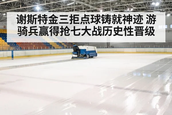 hockey rink arena